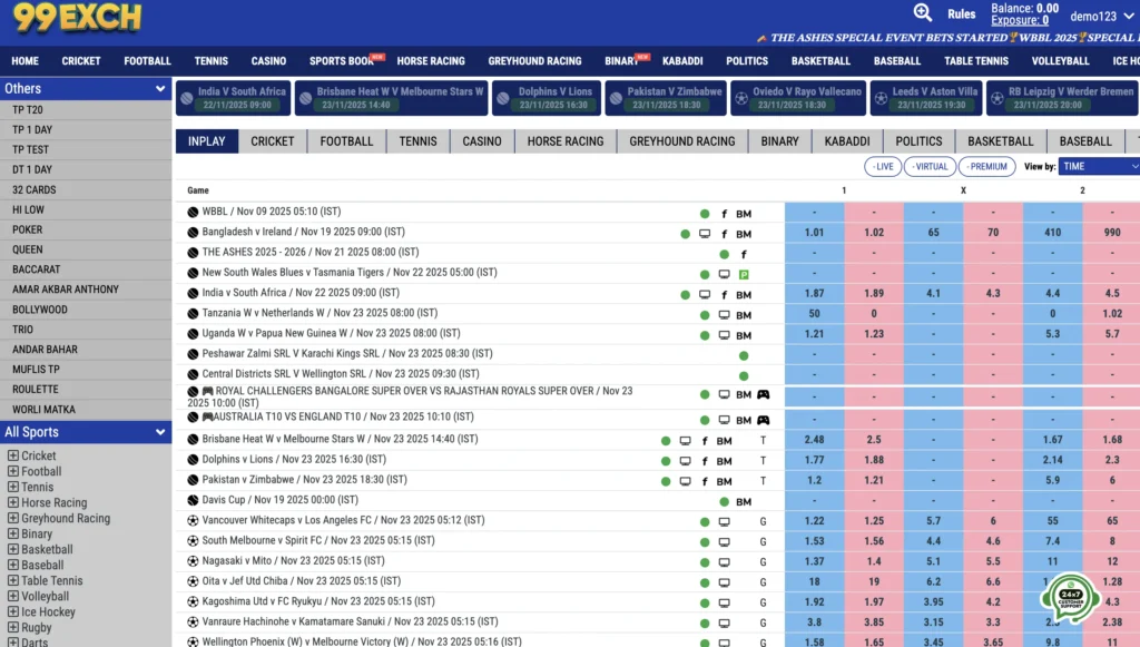 After a successful 99exch login, verify you're accessing your account